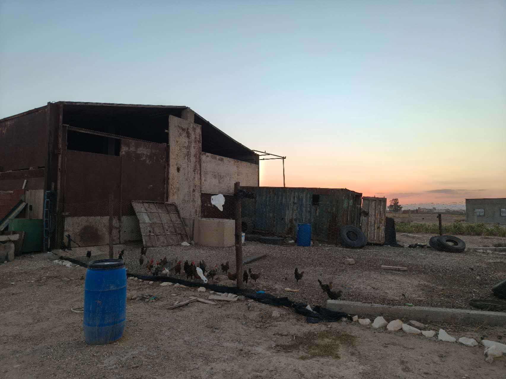 Panoramic view of Kairouan plain